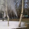 Аренда